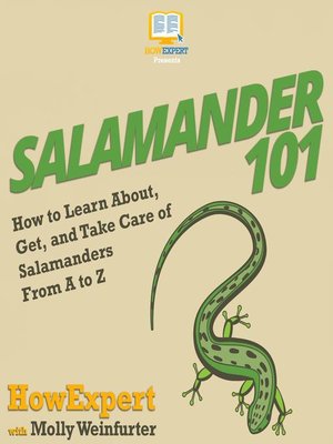 cover image of Salamander 101